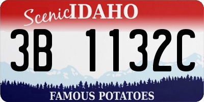 ID license plate 3B1132C