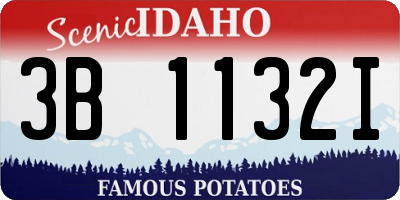 ID license plate 3B1132I