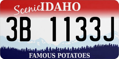 ID license plate 3B1133J