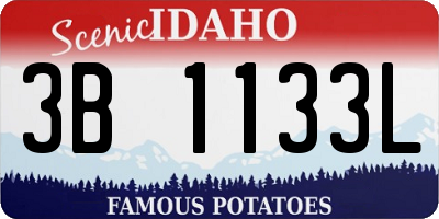 ID license plate 3B1133L