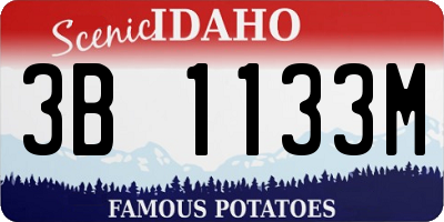 ID license plate 3B1133M