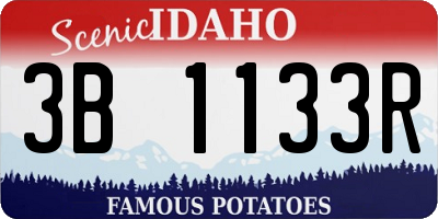 ID license plate 3B1133R