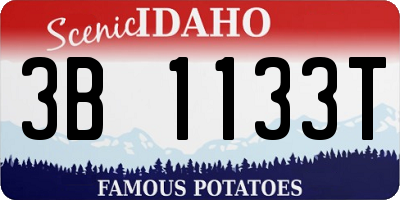 ID license plate 3B1133T