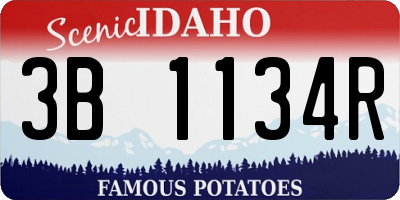 ID license plate 3B1134R