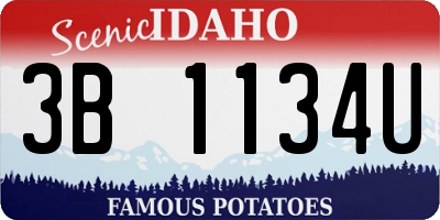 ID license plate 3B1134U