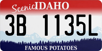 ID license plate 3B1135L