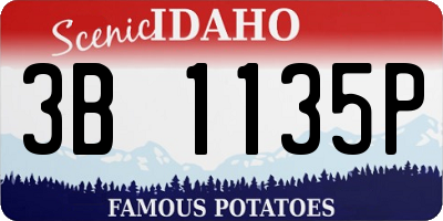ID license plate 3B1135P