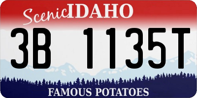 ID license plate 3B1135T