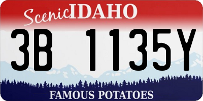 ID license plate 3B1135Y