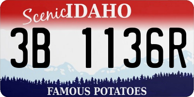 ID license plate 3B1136R