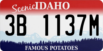 ID license plate 3B1137M