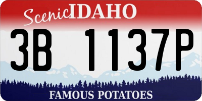 ID license plate 3B1137P