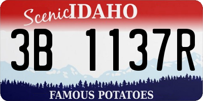 ID license plate 3B1137R