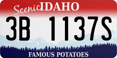 ID license plate 3B1137S