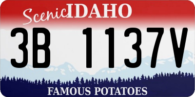 ID license plate 3B1137V