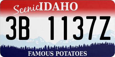 ID license plate 3B1137Z