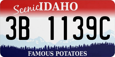 ID license plate 3B1139C