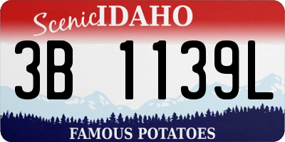 ID license plate 3B1139L