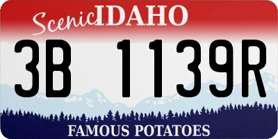 ID license plate 3B1139R