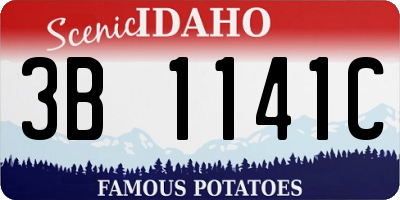 ID license plate 3B1141C