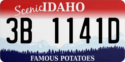 ID license plate 3B1141D