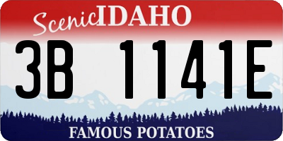 ID license plate 3B1141E