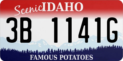 ID license plate 3B1141G
