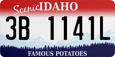 ID license plate 3B1141L