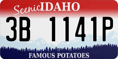 ID license plate 3B1141P
