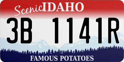 ID license plate 3B1141R
