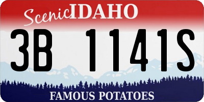 ID license plate 3B1141S
