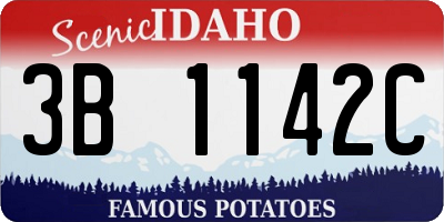 ID license plate 3B1142C