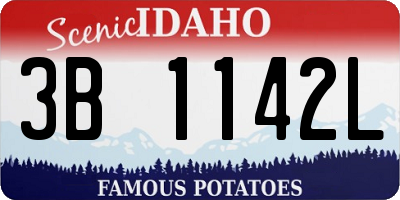 ID license plate 3B1142L