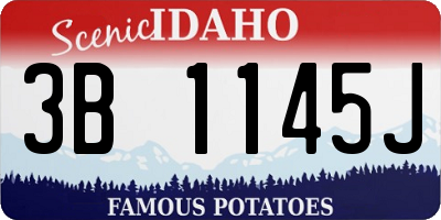ID license plate 3B1145J