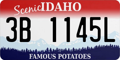 ID license plate 3B1145L
