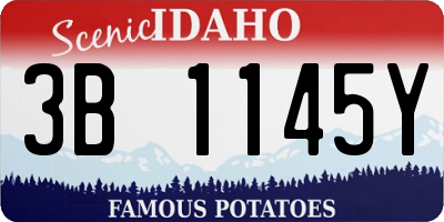 ID license plate 3B1145Y