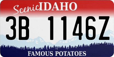 ID license plate 3B1146Z