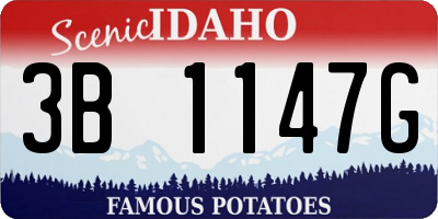 ID license plate 3B1147G
