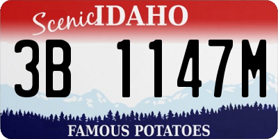 ID license plate 3B1147M