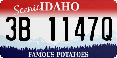 ID license plate 3B1147Q