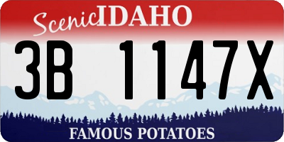 ID license plate 3B1147X