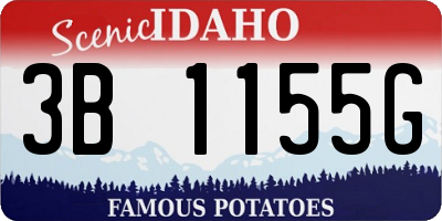 ID license plate 3B1155G