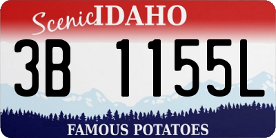 ID license plate 3B1155L