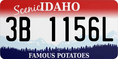 ID license plate 3B1156L