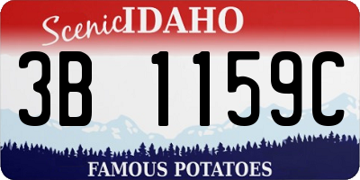 ID license plate 3B1159C