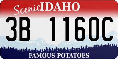 ID license plate 3B1160C