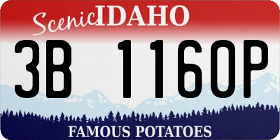 ID license plate 3B1160P