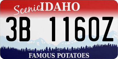 ID license plate 3B1160Z