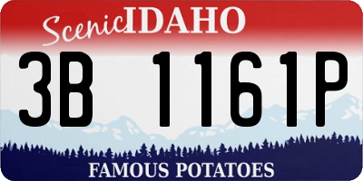 ID license plate 3B1161P