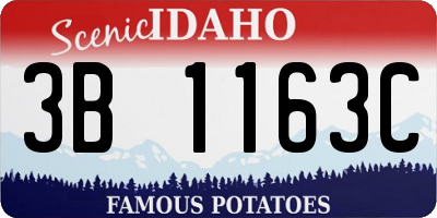 ID license plate 3B1163C